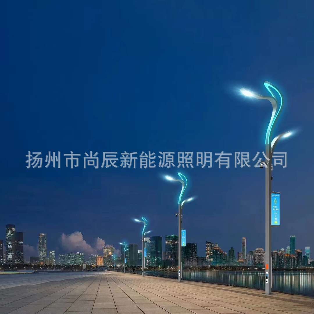 智慧路灯 城市智慧照明系统智能路灯 多工功能合一智能型LED路灯