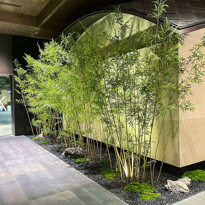 彷真竹子造景新中式室内景观绿植盆景庭院酒店隔断假植物装饰摆饰
