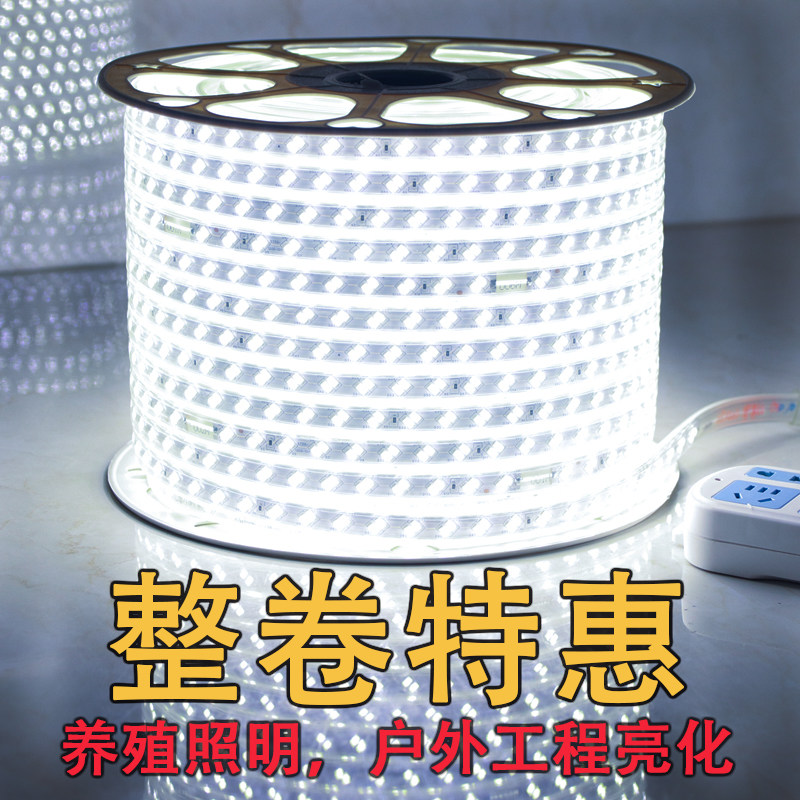 户外灯带LED超亮防水220V厂房养殖工地亮化照明长条形灯白光3624V