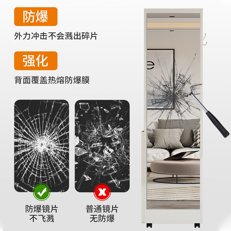 全身穿衣镜带门储物收纳柜一体多功能家用可移动网红落地试衣镜子