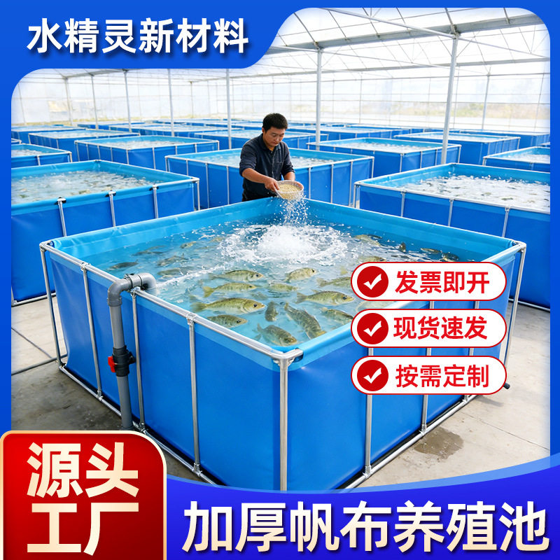 不锈钢支架帆布鱼池加厚带支架鱼菜共生水池加厚防漏养殖专用