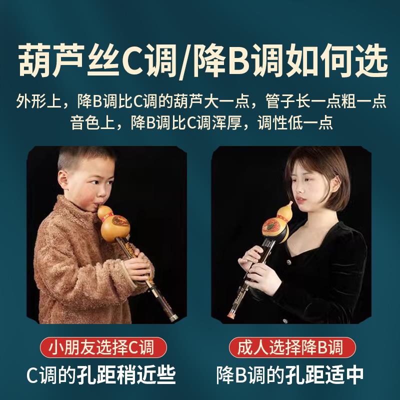 葫芦丝乐器小学生专用C调降B调儿童成人初学专业演奏型七孔胡芦丝
