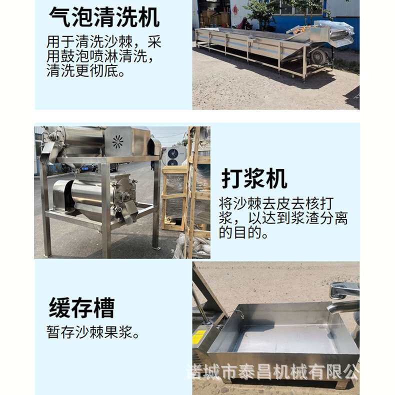 沙棘汁原浆饮料生产线沙棘果打浆机全自动浓缩果浆加工流水线