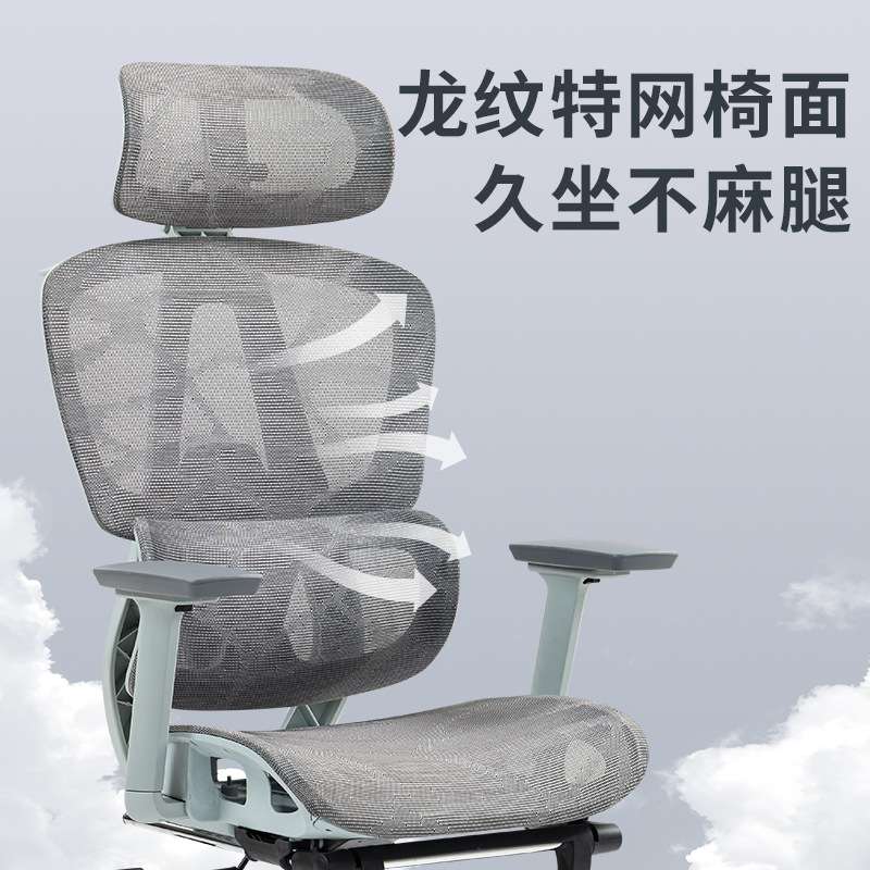 泰畅人体工学椅升降双背电脑椅家用办公座椅电竞椅久坐学习转椅子