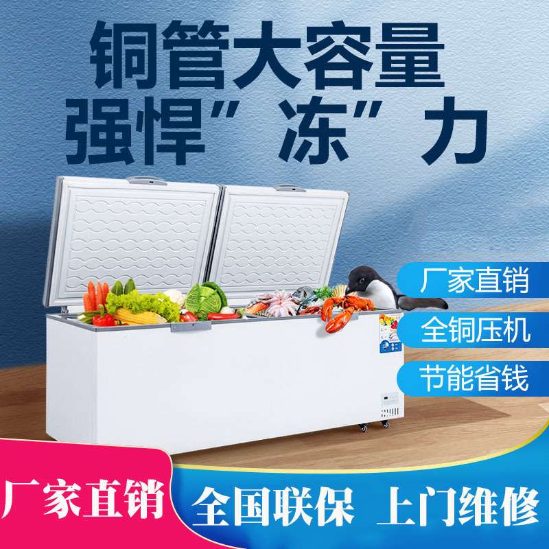 冰柜商用大容量保鲜冷冻两用冰箱冷柜卧式冷藏展示柜单用雪糕柜
