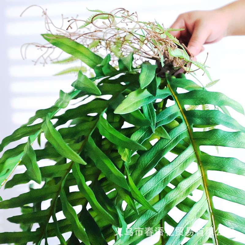 仿真植物波斯草壁挂兰草厥草手感胶搭配植物墙景点软装花艺