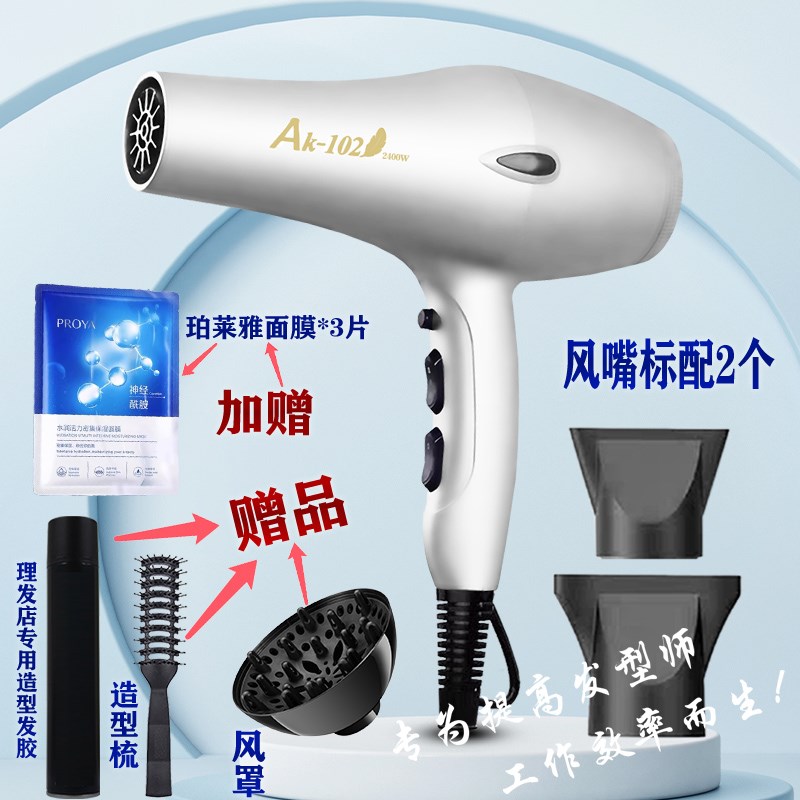 风大师102吹风机超静音发型师专用电风筒电吹筒吹风筒电吹风