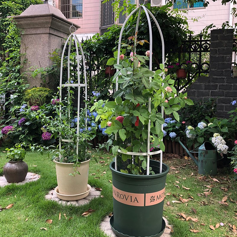 花架置物架花园铁艺拱门爬藤架简易引架葡萄丝瓜蔷薇月季园艺支架