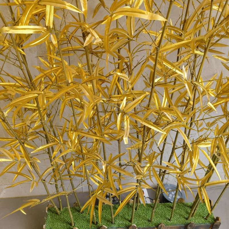 金色竹子金色真竹子金色假竹子金竹子金色装饰竹子金色婚庆用品