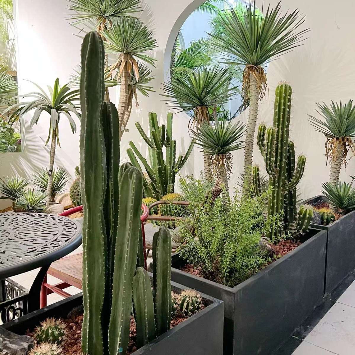 含阳 北欧INS 仿真绿植PU仙人掌仙人柱盆栽沙漠植物室内装饰造景