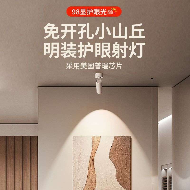 明装射灯可调角度家用小山丘吸顶式轨道灯聚光射灯LED天花灯筒灯