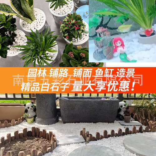 二级品50斤装天然白石子园艺盆栽石头多肉铺面郁金香庭院造景