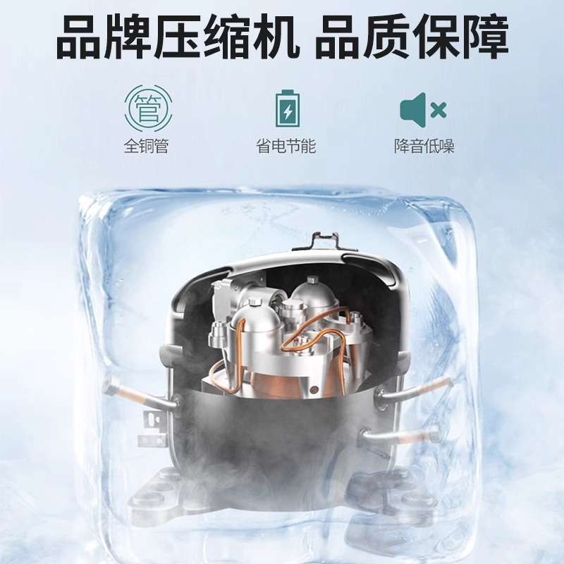 冰柜商用小型冷柜冷藏两用冰箱柜超市便利店促销牛奶雪糕酸奶冰柜
