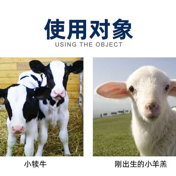 小牛犊牛喂奶桶羊羔喂奶桶可挂式喂奶桶超厚大容量带盖多嘴喂奶桶