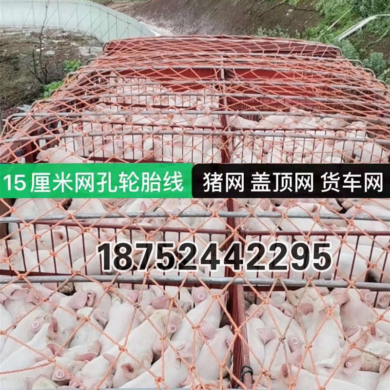 网绳子安全网猪捆绑绳货车防护网尼龙网绳网网罩封网子粗加粗拉网图片
