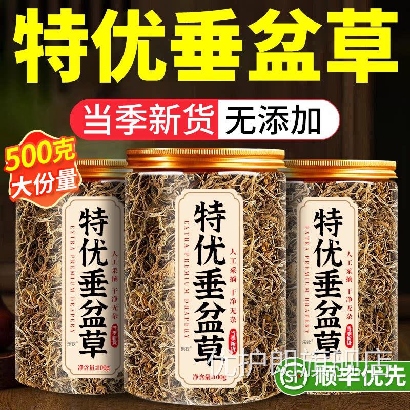 垂盆草中药的功效与作用野生养肝护肝茶中草材药正品官方旗舰店xl