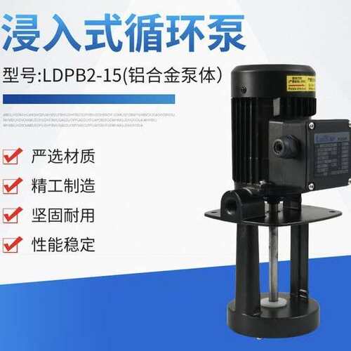 单级液下泵LDPB1-15-18-22和LDPB2-15-18-25和LDPB4-15-18-25TPSP