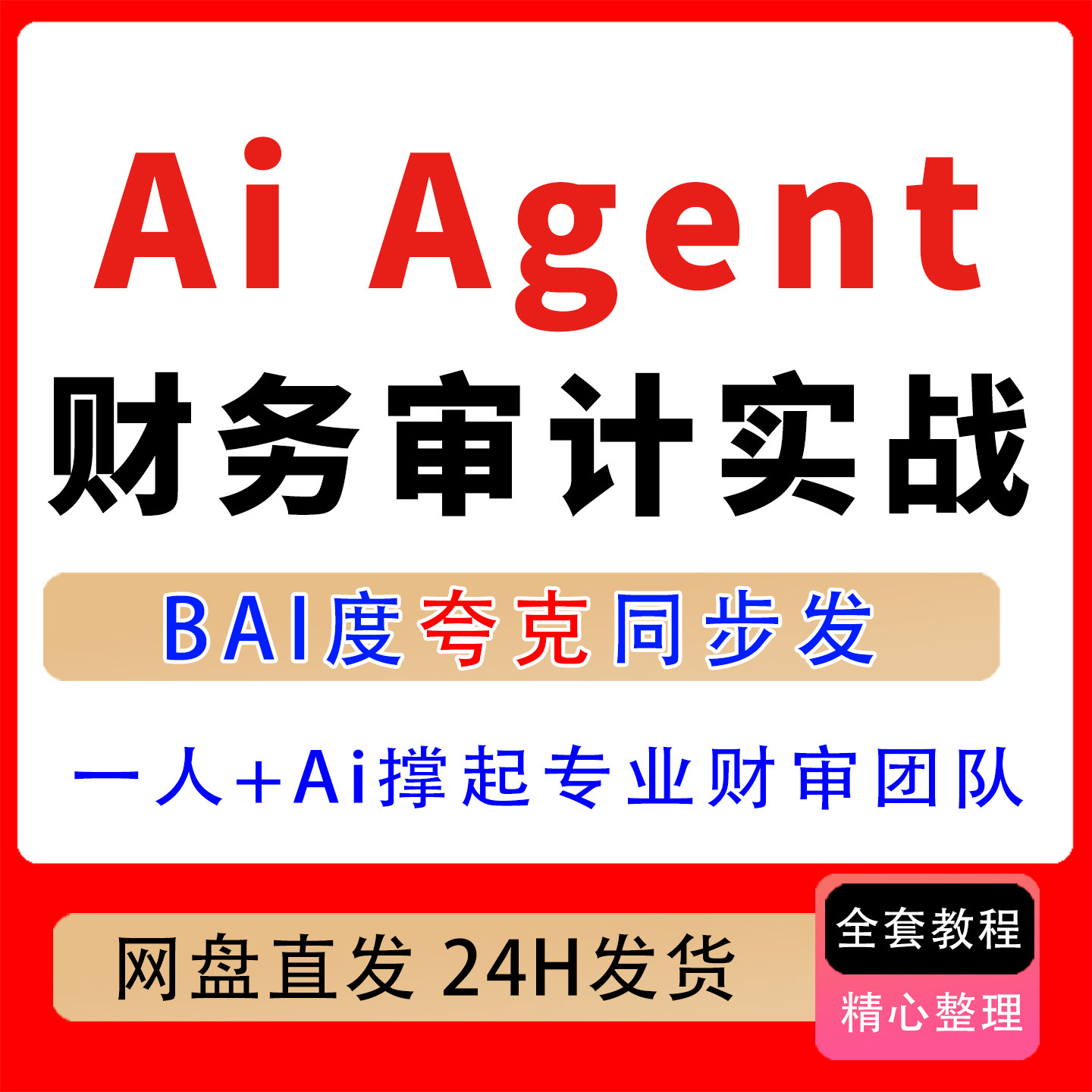 AiAgent实战落地课财务建模审计核查风险识别报告生成一人团队课