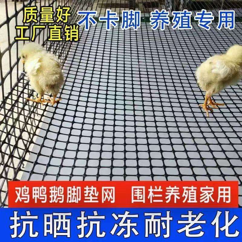 围栏农田防护网玉米养殖网养鸡圈格栅塑料家禽圈养