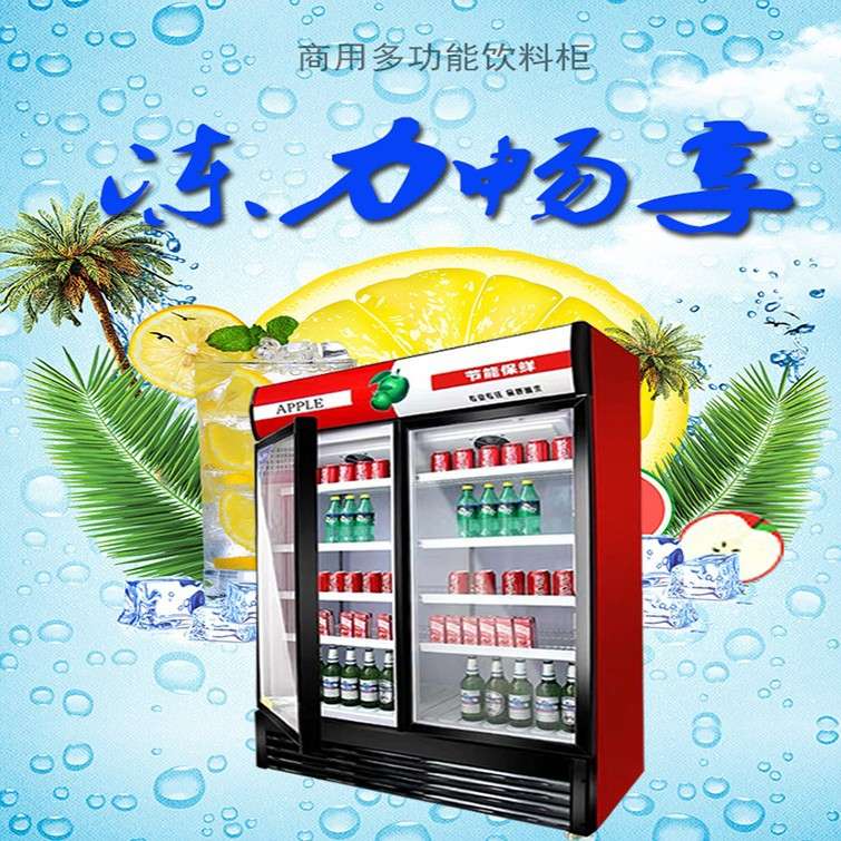 冷藏柜保鲜柜展示柜立式饮料柜商用单门家用冰柜商用冷柜水柜
