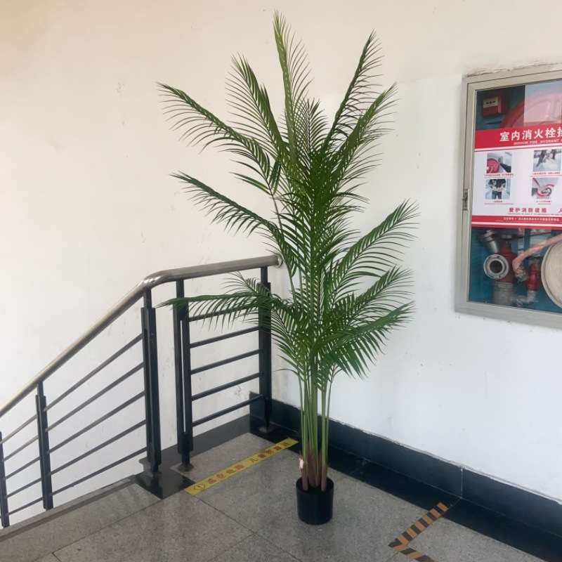 北欧高仿绿植造景贵妃葵散尾葵天堂鸟旋人蕉假植物 盆栽装饰