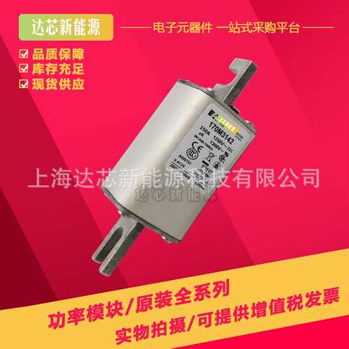 170M3188 170M3189 170M3190 170M3191 170M3192 170M3193熔断器