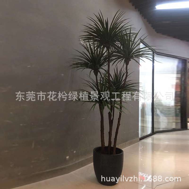仿真铁树假盆栽巴西龙血树绿植商场植物红铁血树酒店落地盆景摆件