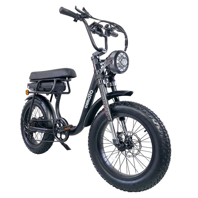 跨境优选48v 750/1000w成人胖胎山地电动自行车20英寸ebike厂家销