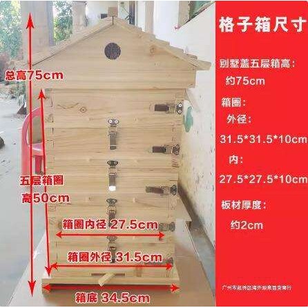 蜜蜂箱格子箱中蜂土养格子箱蜜蜂养殖工具诱蜂桶全套杉木烘干煮蜡