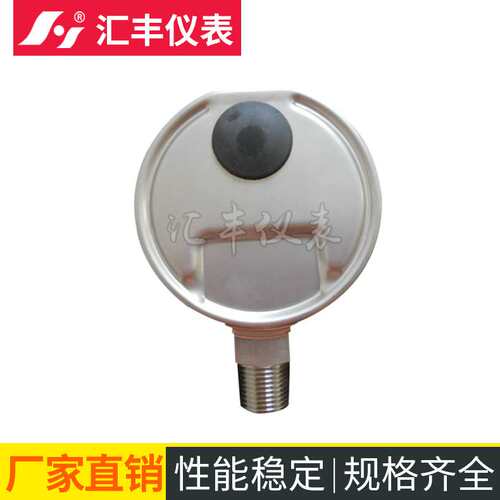 厂家供应 汇丰PAM-氨气压力表/氨水压力表/禁铜氨压力表16bar