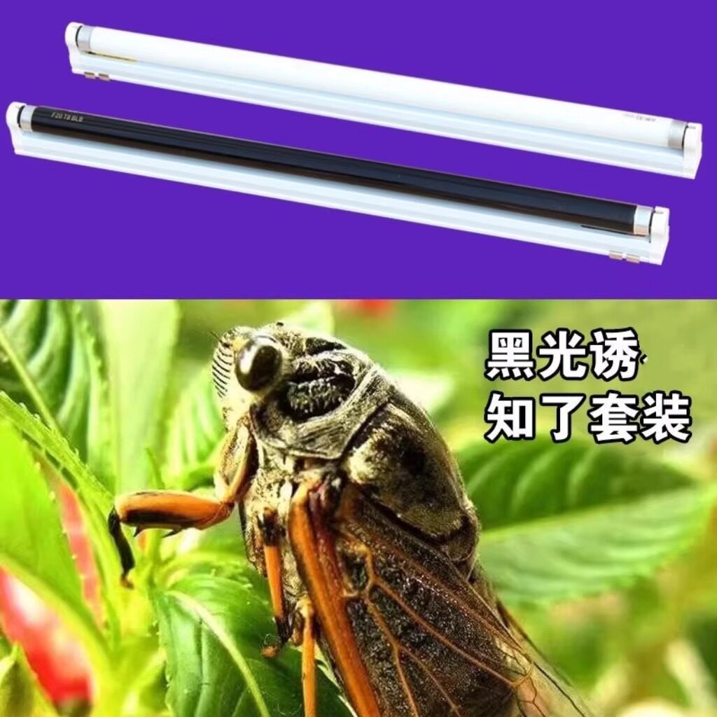 捉知了诱蝉诱虫灯管支架套装T840W1.2M蓝光紫光荧光诱蚊虫灯管