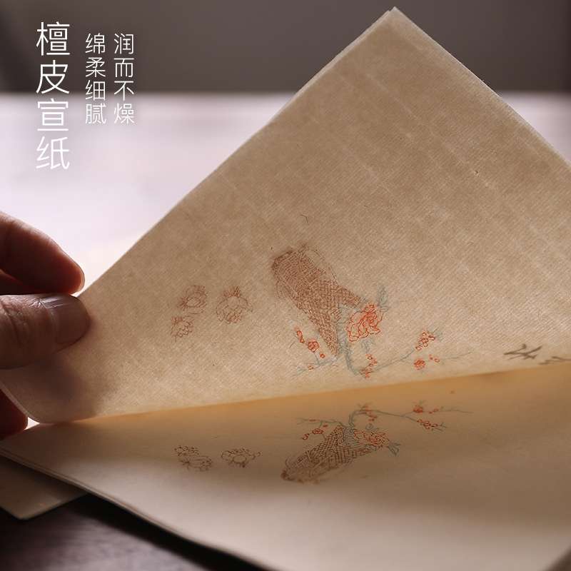 长书 半生半熟宣纸信笺纸信纸仿萝轩变古笺书法专用纸毛笔小楷纸