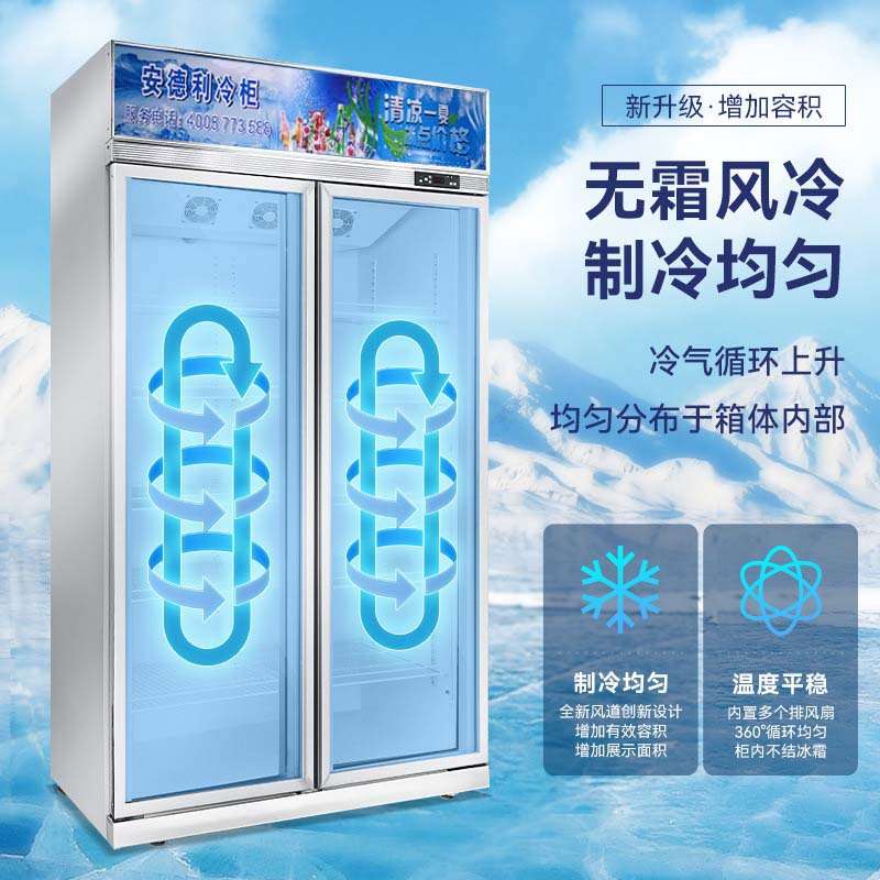 超市商用饮料展示柜双开门冰箱冷藏展示酒水柜立式雪柜风冷无霜