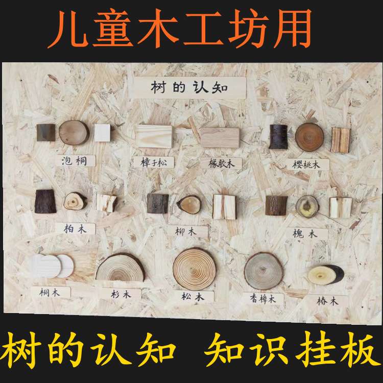 创客木工匠坊装饰树的认知120*80不同大小的年轮片厚4可挂于墙上
