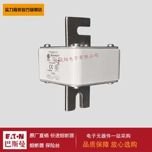 熔断器170M6015 170M6016 170M6017 170M6018 170M6019 170M6020