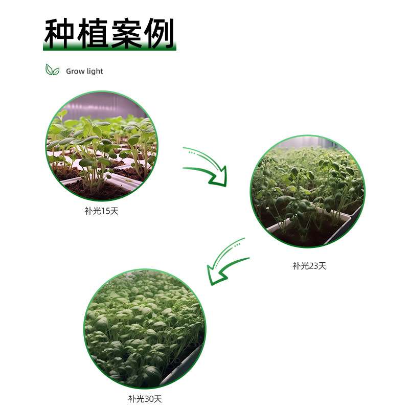 植物生长灯全光谱led仿太阳灯定时usb花卉多肉食虫室内新品补光灯