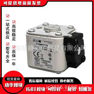 170M4458 170M4459 170M4460 170M4461 170M4462巴斯曼熔断器现货