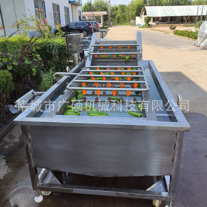 全自动辣椒毛豆洗菜气泡清洗机 果蔬清洗设备 水果蔬菜清洗风干线