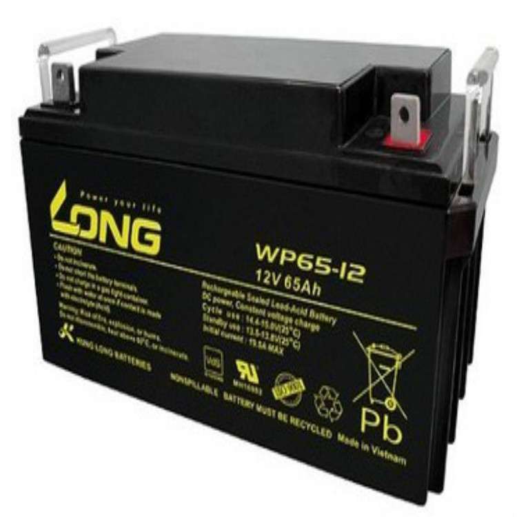 LONG广隆蓄电池WPL200-12N 12V200AH铅酸免维护蓄电池现货