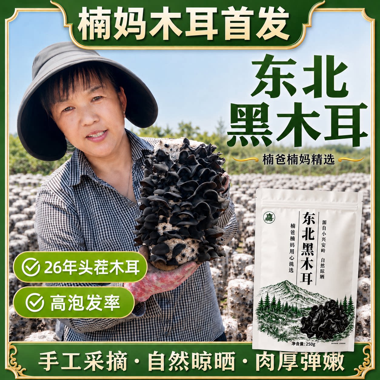 【楠妈精选】东北黑木耳