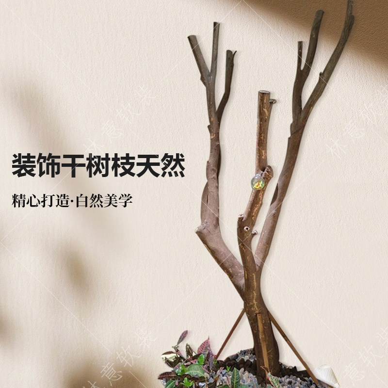 天然去皮大树诧寂风纯实木树干圆柱装饰客厅民宿造型造景隔断摆件
