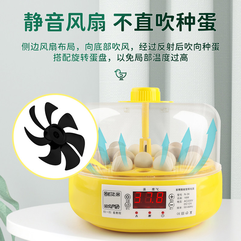 芦丁鸡孵化器小鸡孵蛋器小型家用儿童孵化机受精蛋水床全自动孵化