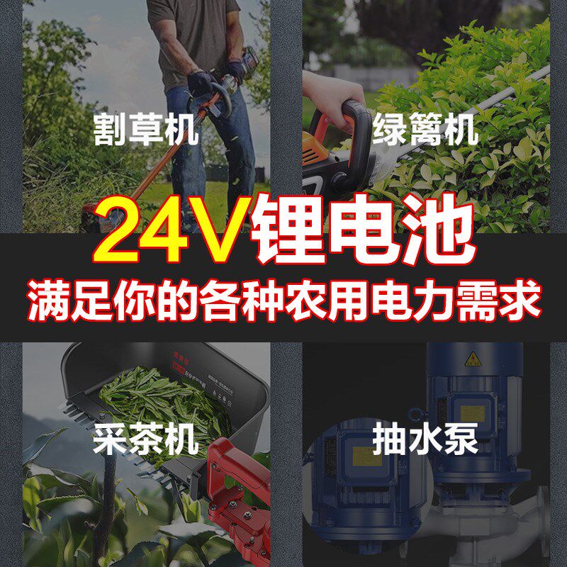 背负式锂电池24V大容量电动割草机绿篱机采茶机园林工具锂电池