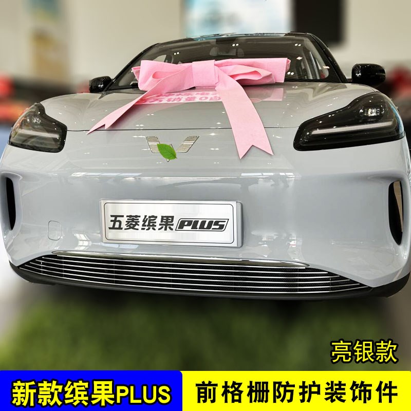 五菱缤果plus中网外观改装饰条 前脸专用防虫网前杠配件汽车用品