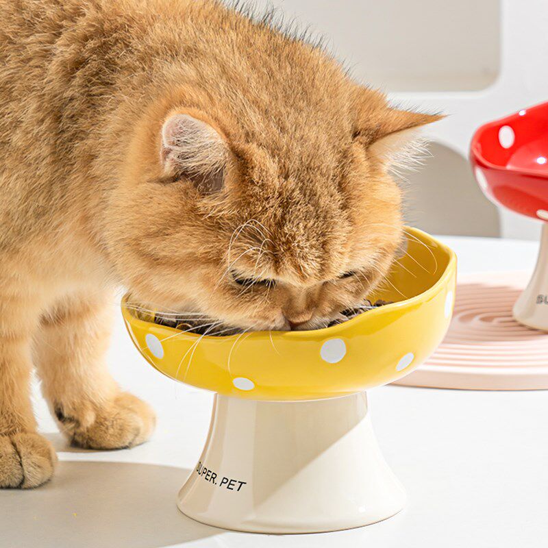 猫碗陶瓷猫粮碗狗碗食盆猫咪饭碗高脚狗狗喝水碗斜口大碗宠物专用