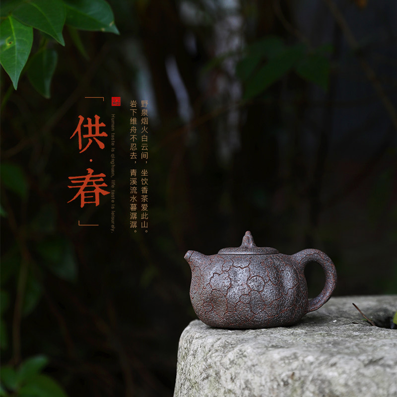 宜兴紫砂壶名家纯全手工紫砂茶具柴烧原矿老段泥供春壶泡茶壶套装