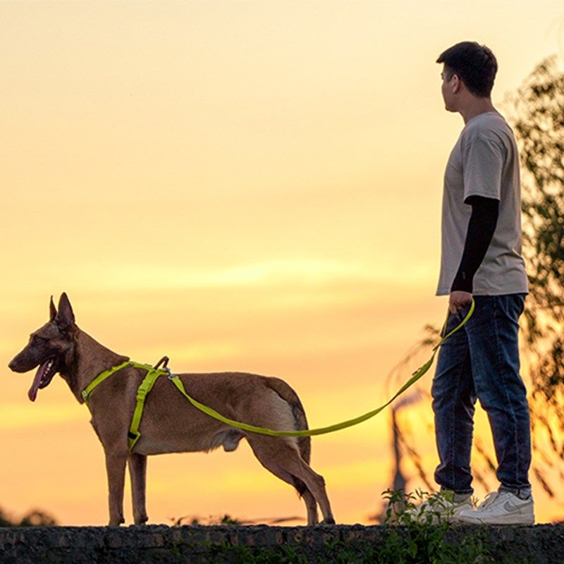 狗狗牵引绳胸背带金毛小中大型犬手提防爆冲背心式宠物外出遛狗绳
