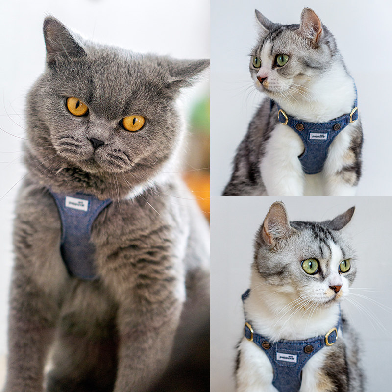 猫咪牵引绳背心式胸背带外出专用防挣脱溜猫绳子栓猫链子宠物用品