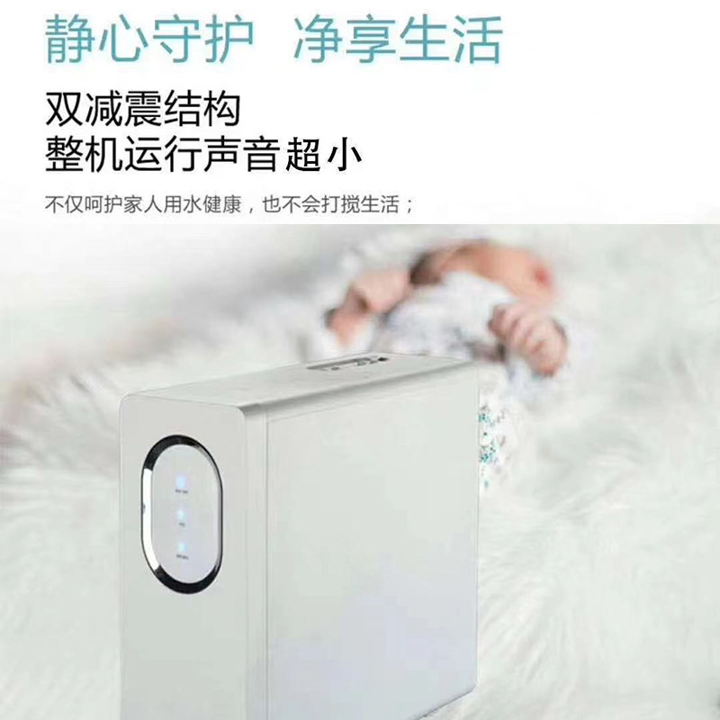 朗泰净水器家用直饮净水机自来水过滤器RO反渗透纯水机朗泰巨能10
