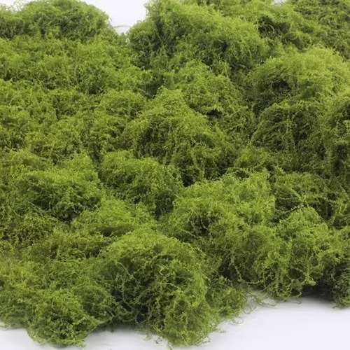 现货仿真青苔植毛草坪苔藓植物造景装饰绿植室内摆件网红毛线青苔